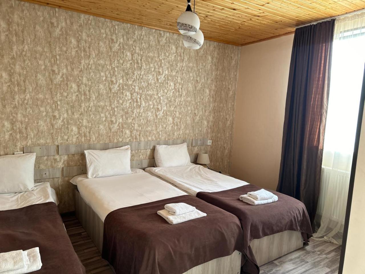 Hotel Svanseti 메스티아 외부 사진