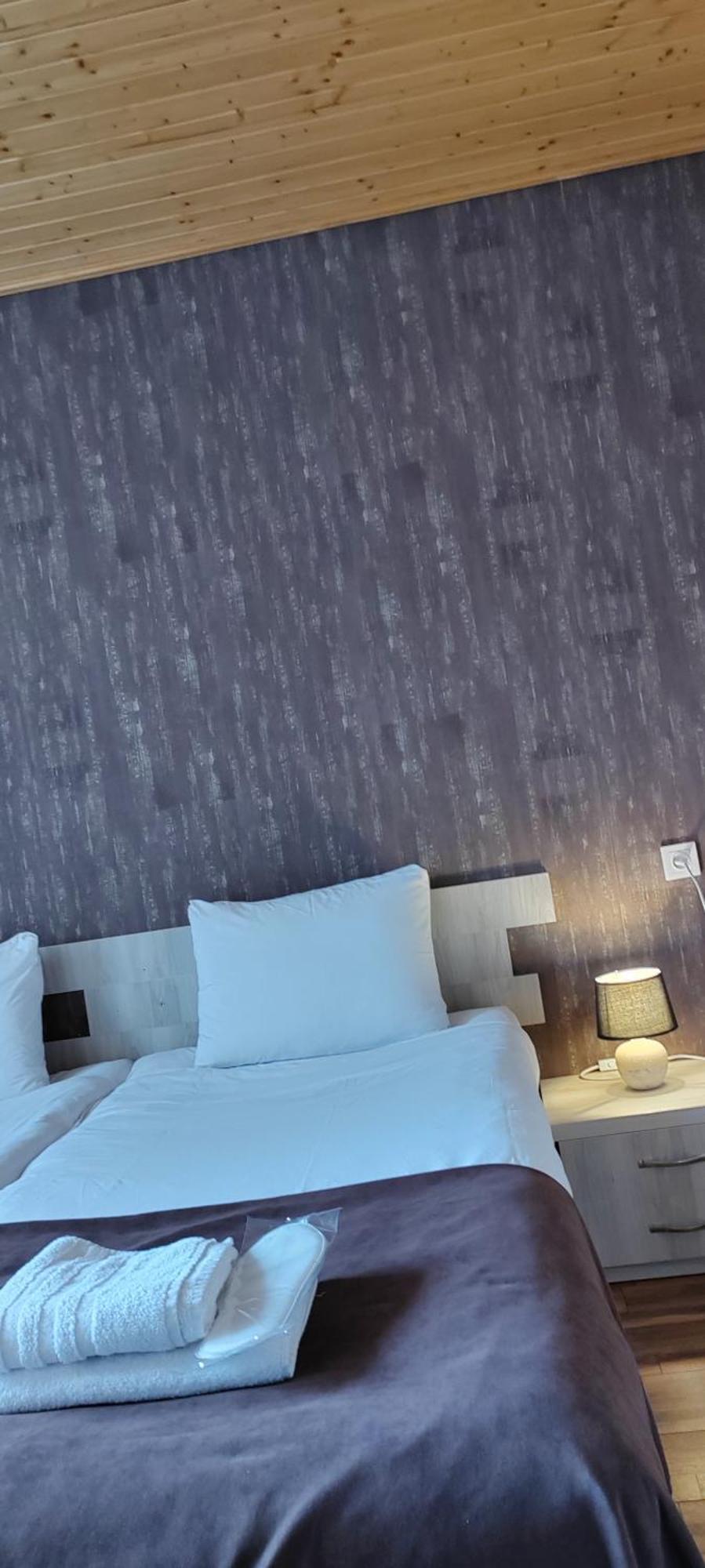 Hotel Svanseti 메스티아 객실 사진